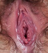 Hairy Porn Pics